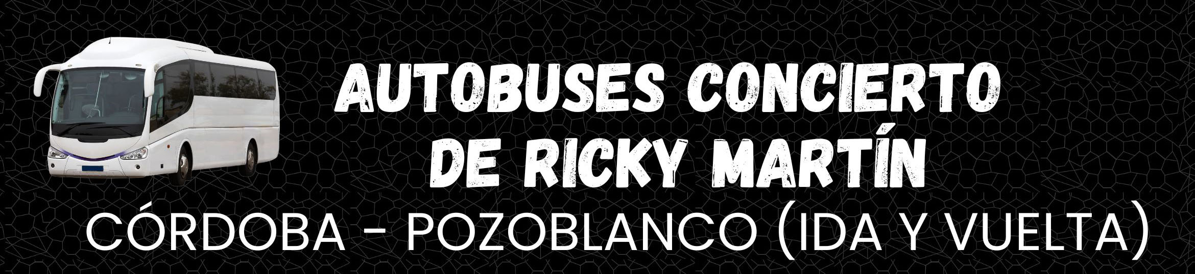 Autobuses Ricky Martin Pozoblanco